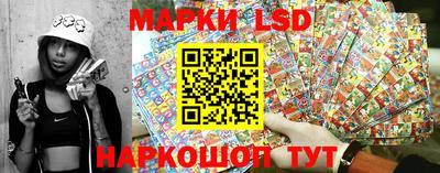 амф Сланцы
