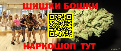 амф Сланцы