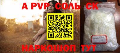 амф Сланцы