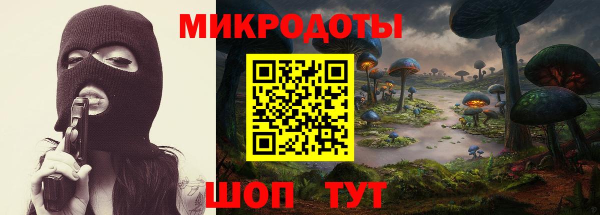 Псилоцибиновые грибы мицелий Мурманск